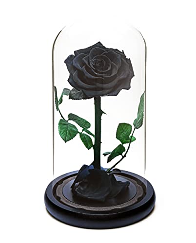 Rosa Eterna para siempre | Regalo Rosa Fresca | Conservada durante 5 Años | Hecho a mano | Regalos para Mujeres Cumpleaños único Inusual | Día de la Madre, Aniversario, Navidad Valentine's day