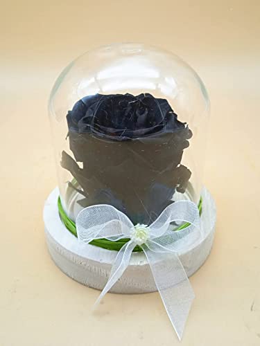 Almaflor Rosa Negra preservada. Cúpula con Rosa Negra eterna. Rosas Negras. Flores preservadas. Rosa eterna Negra. Hecho en España.
