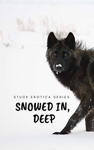 Snowed In, Deep (Stuck Erotica Series) (English Edition)