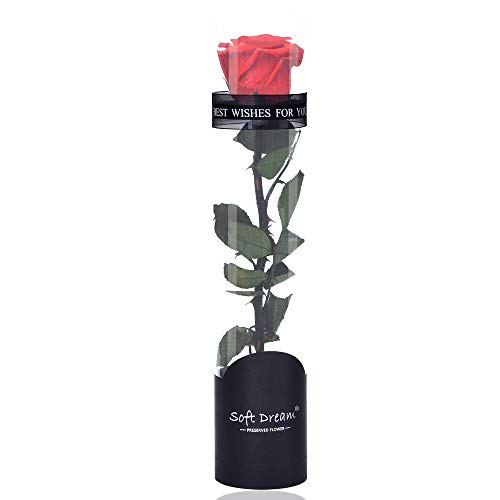Dewanxin Rosa Eterna,Rosa Natural Preservada,para Decoración del Hogar Boda San Valentín Día de la Madre Navidad Aniversario Cumpleaños - Roja (Red)