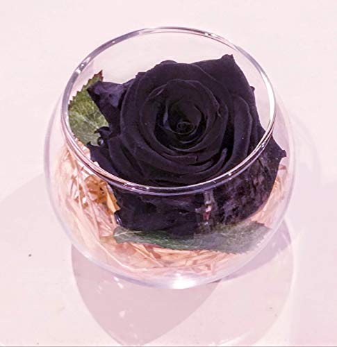 Rosa negra eterna en esfera de cristal+ nota personalizada gratis