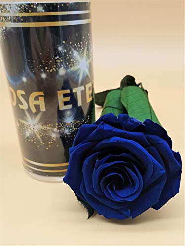Almaflor Rosa eterna Azul Extra. Rosa preservada Azul. Rosa Azul eterna preservada. Flores preservadas. Hecho en España.