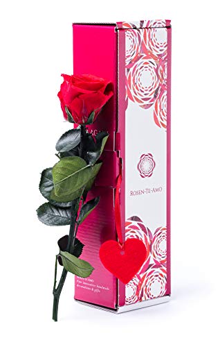Rosen-Te-Amo, Dia de la madre regalos originales mujer || rosa eterna natural preservada roja edición 