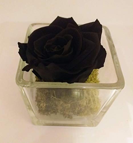 Rosa negra eterna en cubito de cristal+ nota personalizada gratis