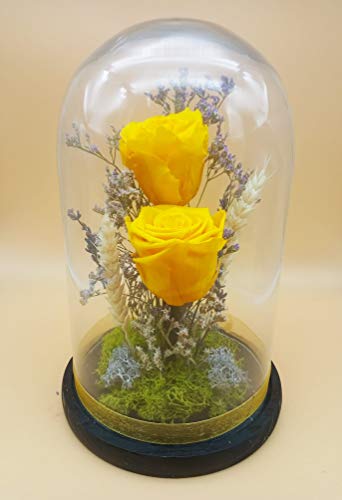 Rosas eternas Amarillas. Altura 25 cm. Rosas preservadas Amarillas. Rosas Amarillas eternas preservadas. Hecho en España.