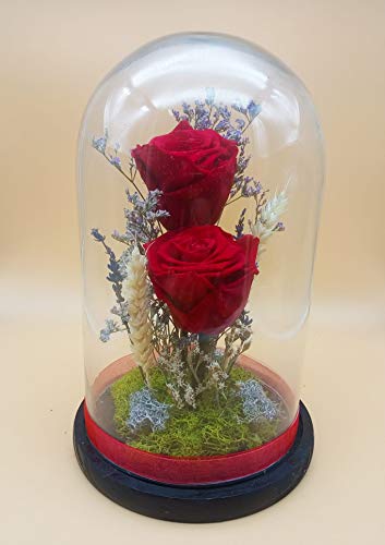 Rosas eternas Rojas. Cúpula de Cristal de 25 cm. Rosas eternas preservadas Rojas. Musgo preservado. Rosas Rojas eternas. Fabricado en España.
