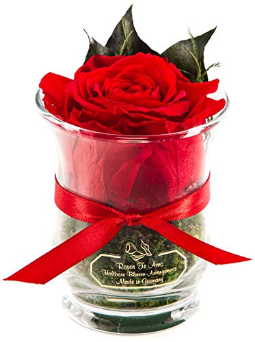 Rosen-Te-Amo, Dia de la madre regalos originales || rosa eterna natural preservada roja perfumada en caja regalo | maceta de vidrio|| Decoracion flores naturales domicilio hecho a mano follaje natural