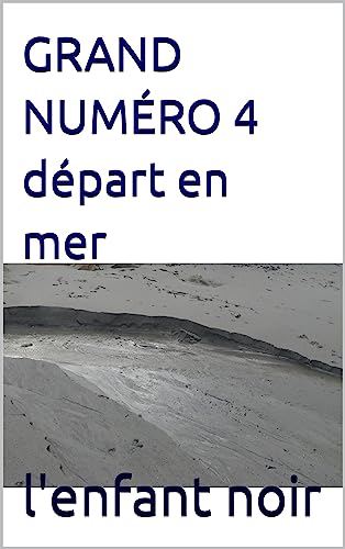 GRAND NUMÉRO 4 départ en mer (PALAUD t. 10) (French Edition)