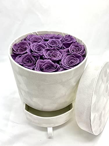 11 Rosas Eternas en Caja Terciopelo bombonera - Flores Día de la Madre - Flores con Tarjeta DEDICATORIA (Rosas Moradas en Caja Gris)