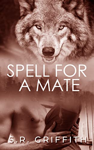Spell for a Mate (Internet Magic Book 4) (English Edition)