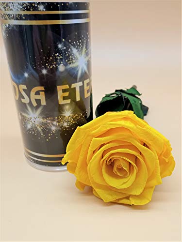 Rosa Amarilla Extra. Rosa eterna Amarilla. Rosa Amarilla preservada. Rosas Amarillas. Flores preservadas. Fabricado en España.