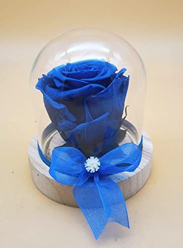 Rosa eterna Azul. Cúpula Cristal. Rosa Azul eterna. Rosas Azules. Flores preservadas. Hecho en España.