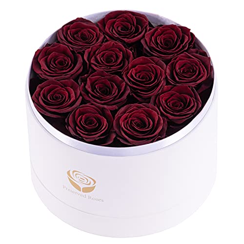 Sunia Por Siempre Rosa, Regalo Rosa para Ella - Rosa Real Preservada Eternal Regalo Romántico para Novia Esposa Mamá Aniversario Navidad Boda Día de la Madre Regalo del día de San Valentín