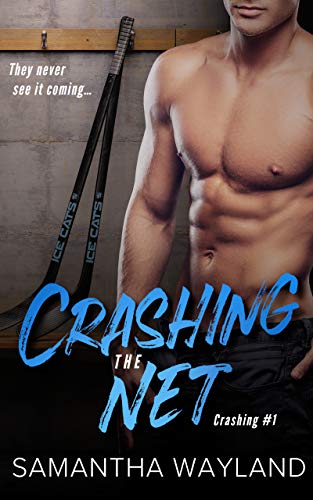 Crashing the Net (English Edition)