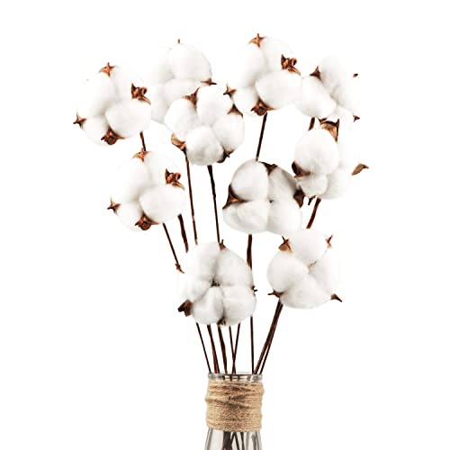 10 Pcs Flores Artificiales Decoracion Blanca Flores Algodón Secas Tallo Largo,Simulación de Natural y de Estilo Original, para decoración de Jarrones Hogar Hogarcasa de Campo Bodas Fiestas