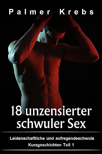 18 unzensierter schwuler Sex: Leidenschaftliche und aufregendeschwule Kurzgeschichten Teil 1 (German Edition)