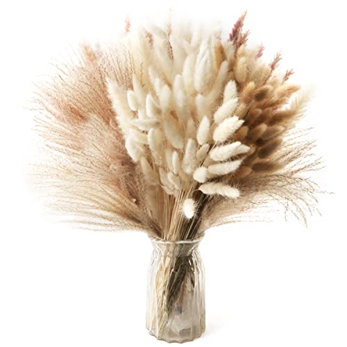 185 Piezas Pampas Secas Decoracion Ramo de Flores Secas Naturales Hierba de la Pampa Blanca Cañas Marrones Cola de Conejo Grass para Fiestas Bodas Jarrones Boho Decoración, 42 CM