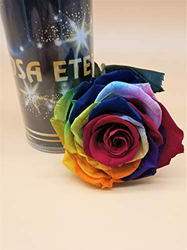 Almaflor Rosa eterna arcoíris Multicolor Extra. Rosa preservada arcoíris Extra. Rosa Multicolor arcoíris. Flores preservadas. Hecho en España.