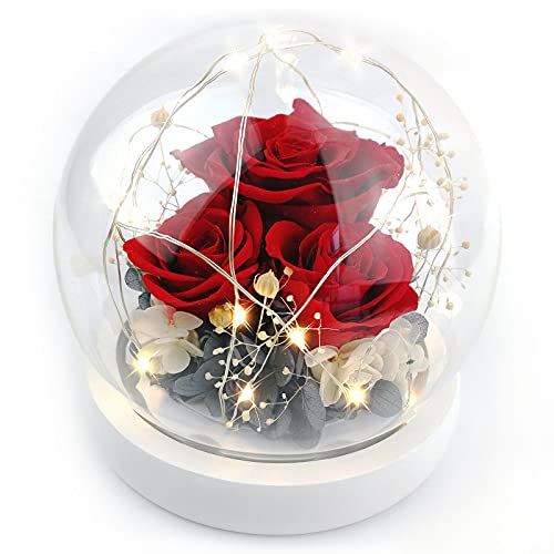 Kylin Glory Forever Flowers - Rosas preservadas para Mujer, mamá, Novia, Esposa, Rosas auténticas Frescas, Regalo Elegante para el día de San Valentín, cumpleaños, Aniversario (Rojo Brillante)