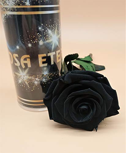 almaflor Rosa eterna Negra Extra. Rosa preservada Negra eterna. Rosa Negra eterna preservada. Flores preservadas. Fabricado en España.