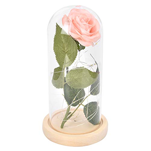 Alvinlite Flor de rosa preservada, luz LED de flor de rosa con base de cubierta de vidrio Regalo de flor de rosa romántica Decoración de boda Talla única Tipo rosa champán