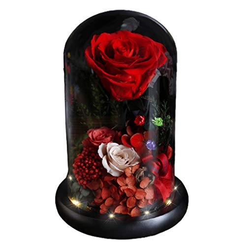 Preserved Rose Bultraje preservado flor caja de regalo brillante preservado real rosa aniversario mejor amigo novia festival regalo decoración de regalo Rosa Eterna para mujer ( Color : Rot , Tamaño :