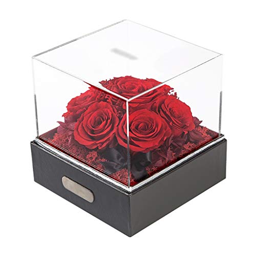 BAUBUY Preserved Rose Caja de Regalo de Flores Bien conservadas, decoración de Regalo for el Mejor Amigo, Novia, Festival, Rosa Eterna para Mujer (Color : Rot)