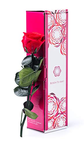Rosen-Te-Amo, Dia de la madre regalos originales mujer || rosa eterna natural preservada roja | caja regalo con design refinado || flores naturales domicilio: decoracion hogar