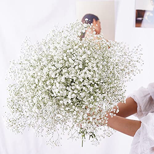 YIWOYI Ramo de flores secas naturales Gypsophila Paniculata preservadas para decoración del hogar y fiestas de boda (blanco, 15-30 cm, 20 g)