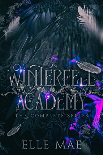 Winterfell Academy: A dark bully why choose (English Edition)