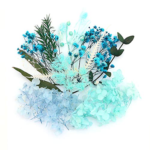 Shiwaki Flores Artificiales Simulación Caja de Flores Planta de Flor Seca preservada DIY Vela Resina Fabricación de Joyas Artesanía Decoración Ducha Decoraciones para el hogar - Blue Mood