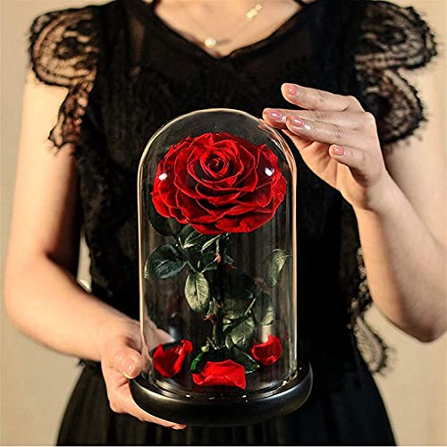 Paquete de Regalo de Flores eternas Flor de Rosa con Tallo preservado en cúpula de Vidrio para Aniversario Día de San Valentín Compromiso de cumpleaños del Día de la Madre (Color: Negro) (Negro) Ros