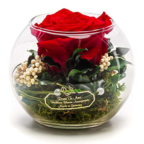 Rosen-Te-Amo, Dia de la madre regalos originales || rosa eterna natural preservada roja perfumada en caja regalo | maceta de vidrio|| Decoracion flores naturales domicilio hecho a mano follaje natural