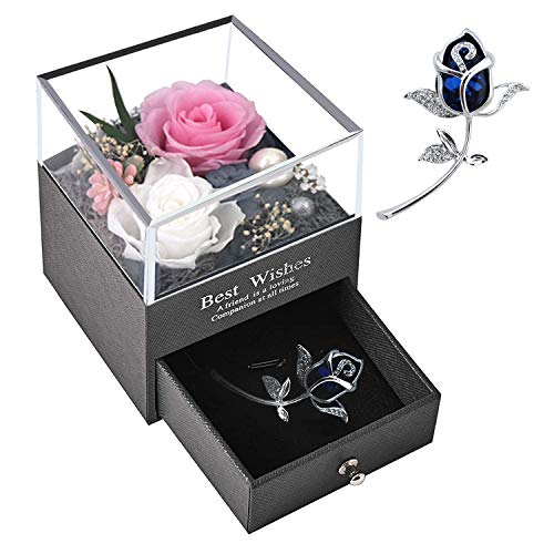 Rosa Eterna Natural, PTN Paquete de Regalo de Joyas de Flores Preservadas Conservadas a Mano, con Broche, Regalos Románticos para Ella en el Aniversario del Día de la Madre del día de San Valentín