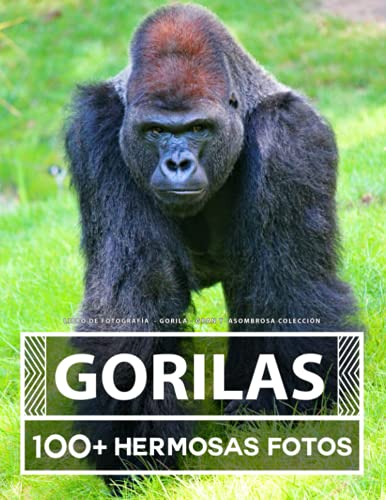 Libro De Fotografía - Gorila - Gran y Asombrosa Colección: 100 Hermosas Fotos En Este Fantástico Libro De Fotos De Gorila - Para Niños y Adultos