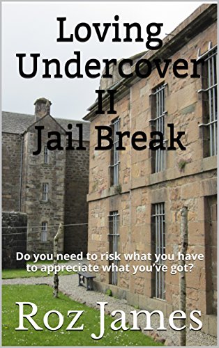 Loving Undercover II Jail Break: Do you need to risk what you have to appreciate what you’ve got? (English Edition)