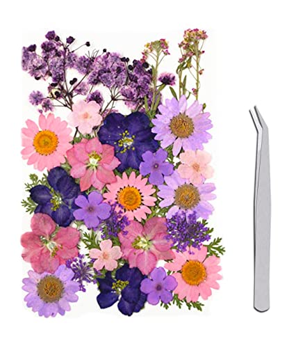 WJIAEER 30PCS flores secas flores prensadas, flores secas naturales, flores secas manualidades DIY flores secas para resina